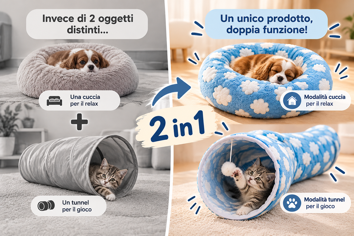 Foto della situazione problema